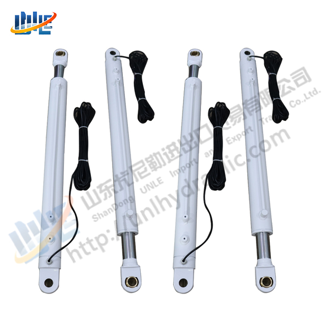 Customized SS316 Stainless Steel Underwater Hydraulic Lift System Waterproof Hydraulic Cylinder