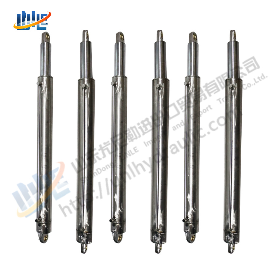 Underwater Custom Stainless Steel Hydraulic Cylinder Anti Corrosion