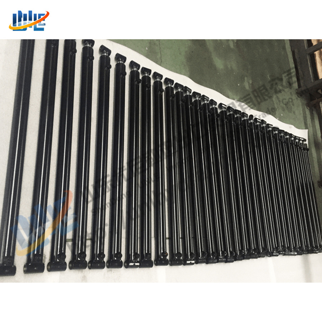 Weatherproof Stainless Steel Double Acting Hydraulic Cylinder for Outdoor Garden Lifting Machinery and Landscape Equipment