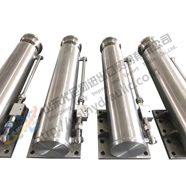 Customized SS316 Stainless Steel Underwater Hydraulic Lift System Waterproof Hydraulic Cylinder